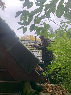 afbeelding klusdag in bijennatuurtuin